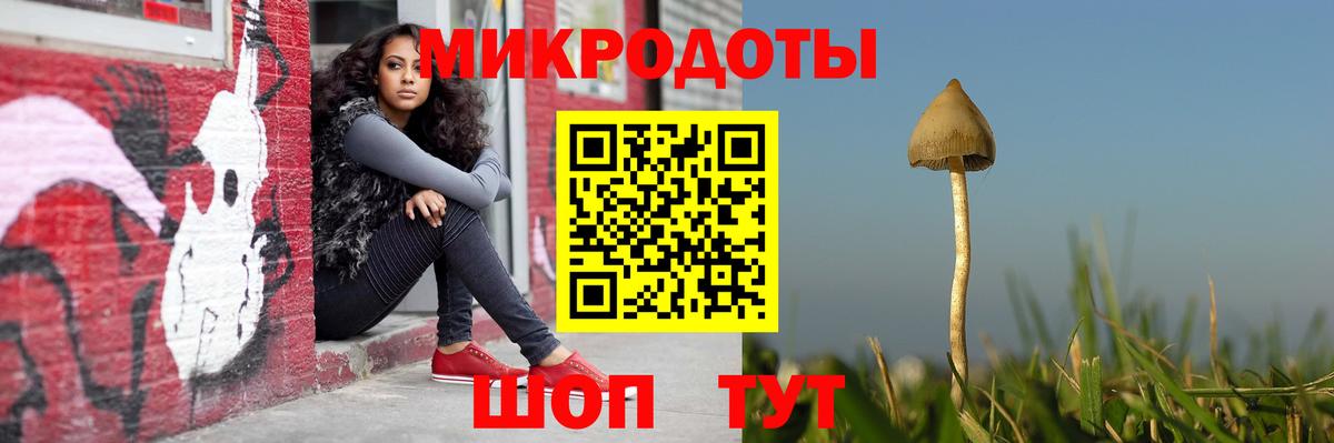 Галлюциногенные грибы мухоморы Дубна